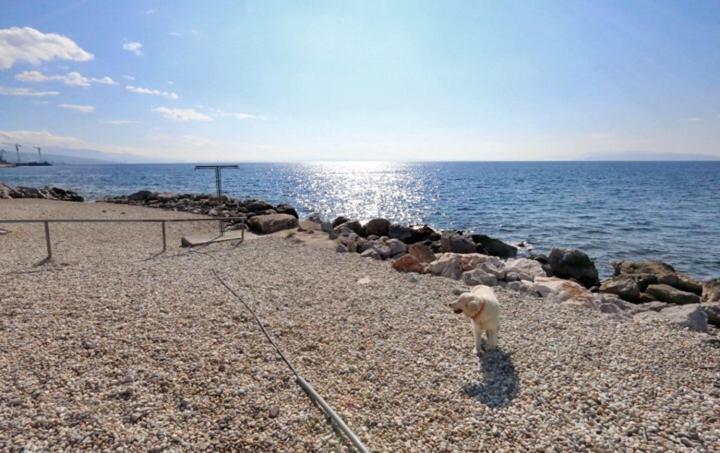 Apartman Andi Rijeka Buitenkant foto